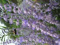 View photo in a new window