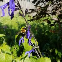 View photo in a new window