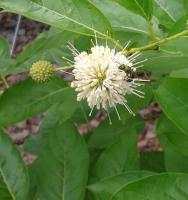 View photo in a new window