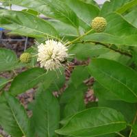 View photo in a new window