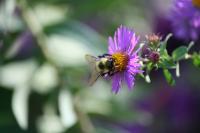 View photo in a new window