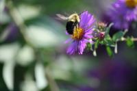 View photo in a new window