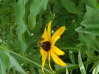 View photo in a new window