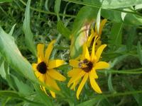 View photo in a new window