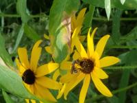 View photo in a new window