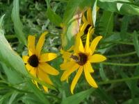 View photo in a new window