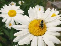 View photo in a new window