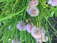 View photo in a new window