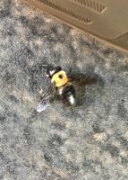 View photo in a new window