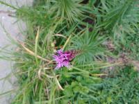 View photo in a new window