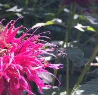 View photo in a new window