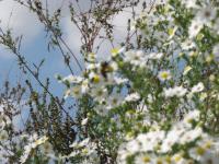 View photo in a new window