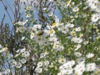 View photo in a new window