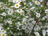 View photo in a new window