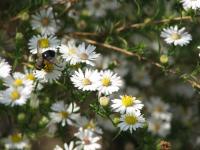 View photo in a new window