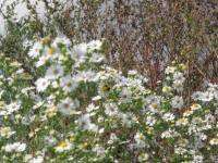 View photo in a new window