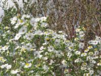 View photo in a new window