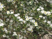 View photo in a new window