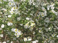 View photo in a new window