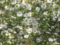 View photo in a new window