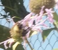 View photo in a new window