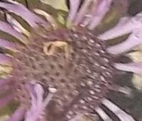 View photo in a new window