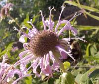 View photo in a new window