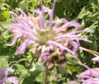 View photo in a new window