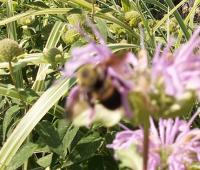 View photo in a new window