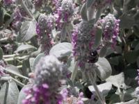 View photo in a new window