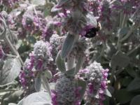 View photo in a new window