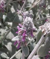 View photo in a new window