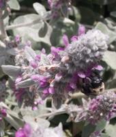 View photo in a new window