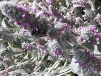 View photo in a new window