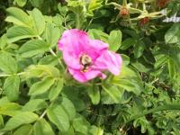 View photo in a new window