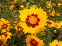 View photo in a new window