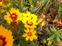 View photo in a new window