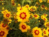 View photo in a new window