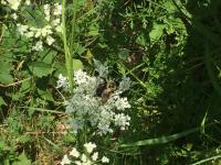 View photo in a new window