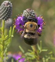 View photo in a new window