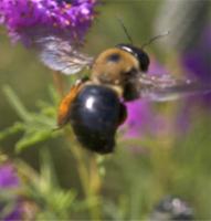 View photo in a new window