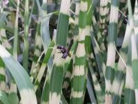 View photo in a new window