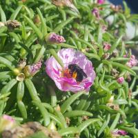 View photo in a new window