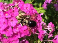 View photo in a new window