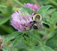 View photo in a new window