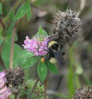 View photo in a new window