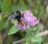 View photo in a new window