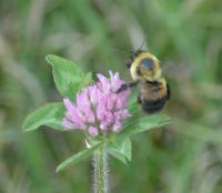 View photo in a new window