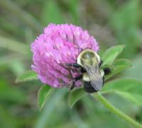 View photo in a new window