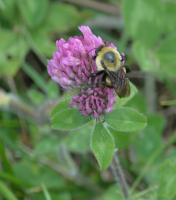 View photo in a new window